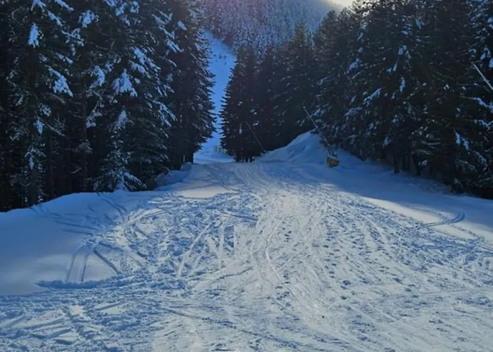 Daire Four Seasons Bansko